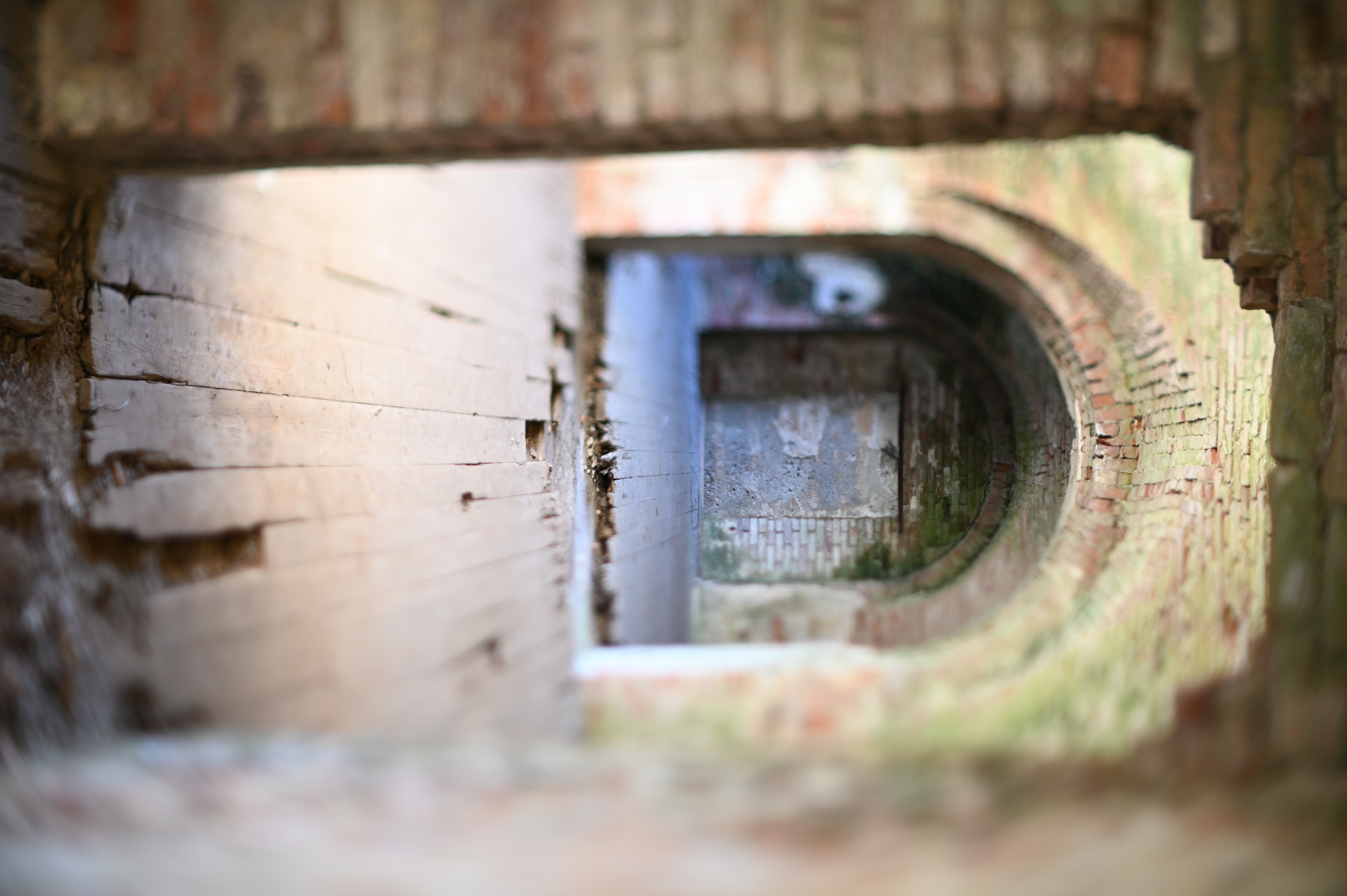 2025/10/18 - walk/DSC_0057.JPG